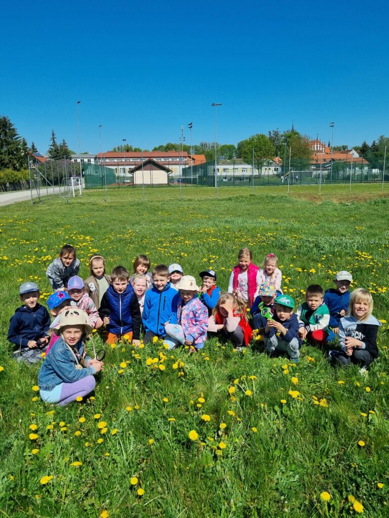 Zdjęcie przedstawia grupę dzieci siedzących na łące. W oddali widać orlik i budynki.