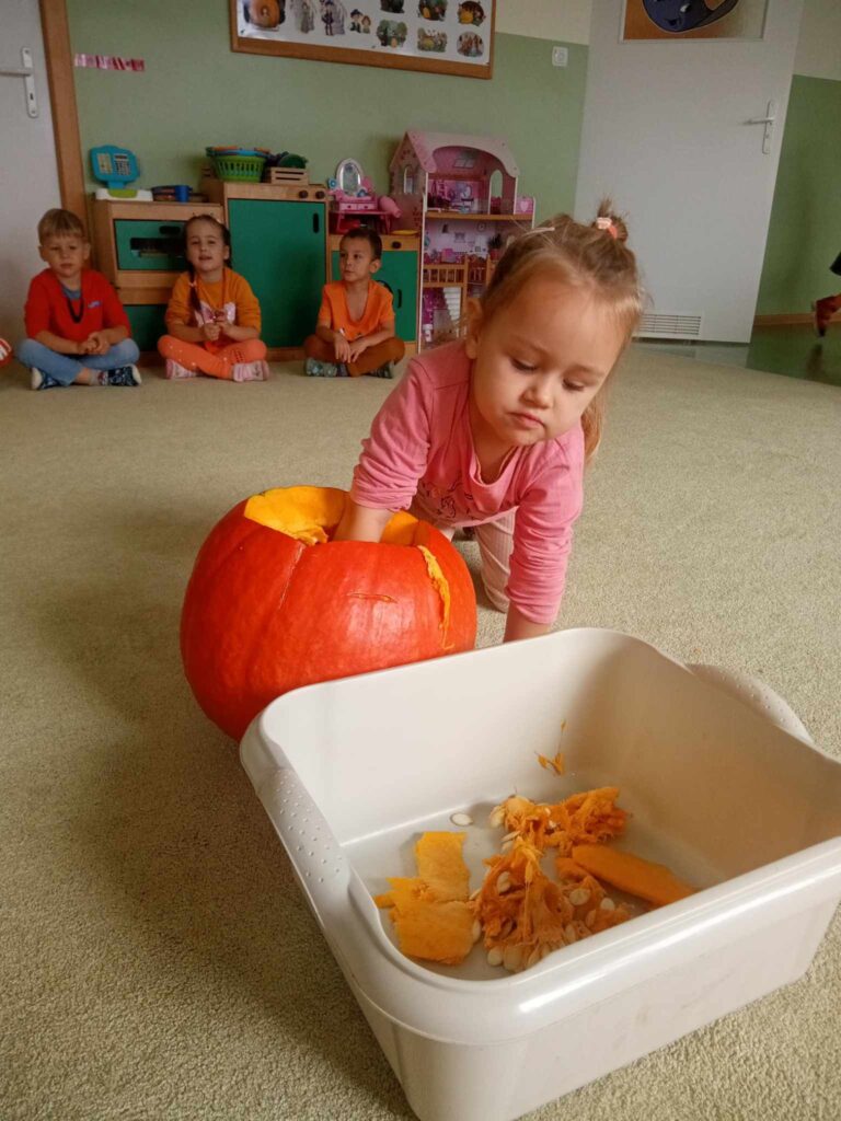 Zdjęcie przedstawia dziecko, które wydrąża dynie.