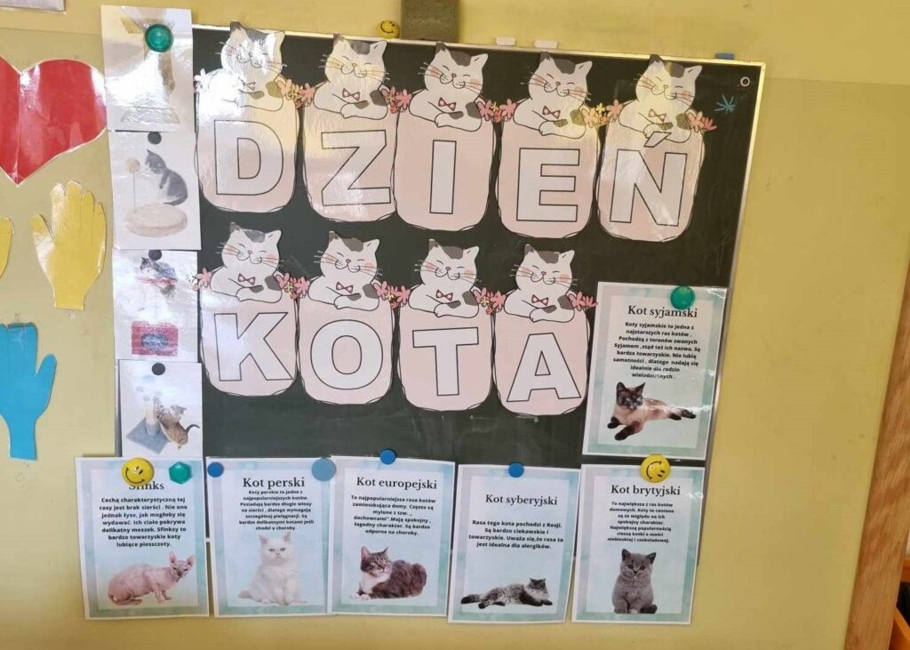Zdjęcie przedstawia napis na tablicy Dzień kota oraz inne informacje o kotach.