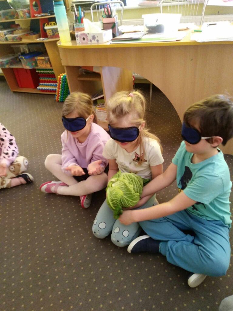 Zdjęcie przedstawia dzieci siedzące na wykładzinie w sali przedszkolnej. Mają zasłonięte oczy, w rękach przekazują sobie warzywo - kapustę.